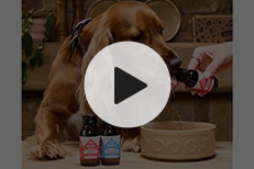 PAWD Drinks PAWD Drinks